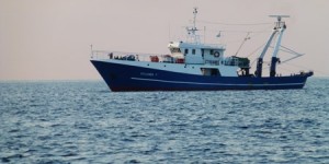 trata