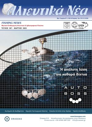817x1125-pages-00 (9)